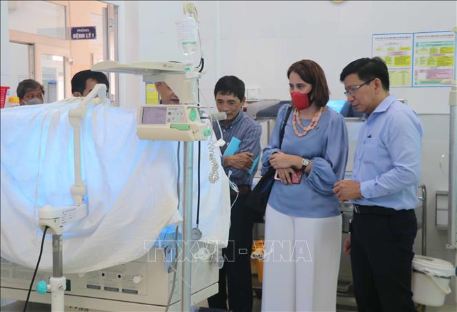 Binh Dinh and New Zealand continue to promote cooperation results